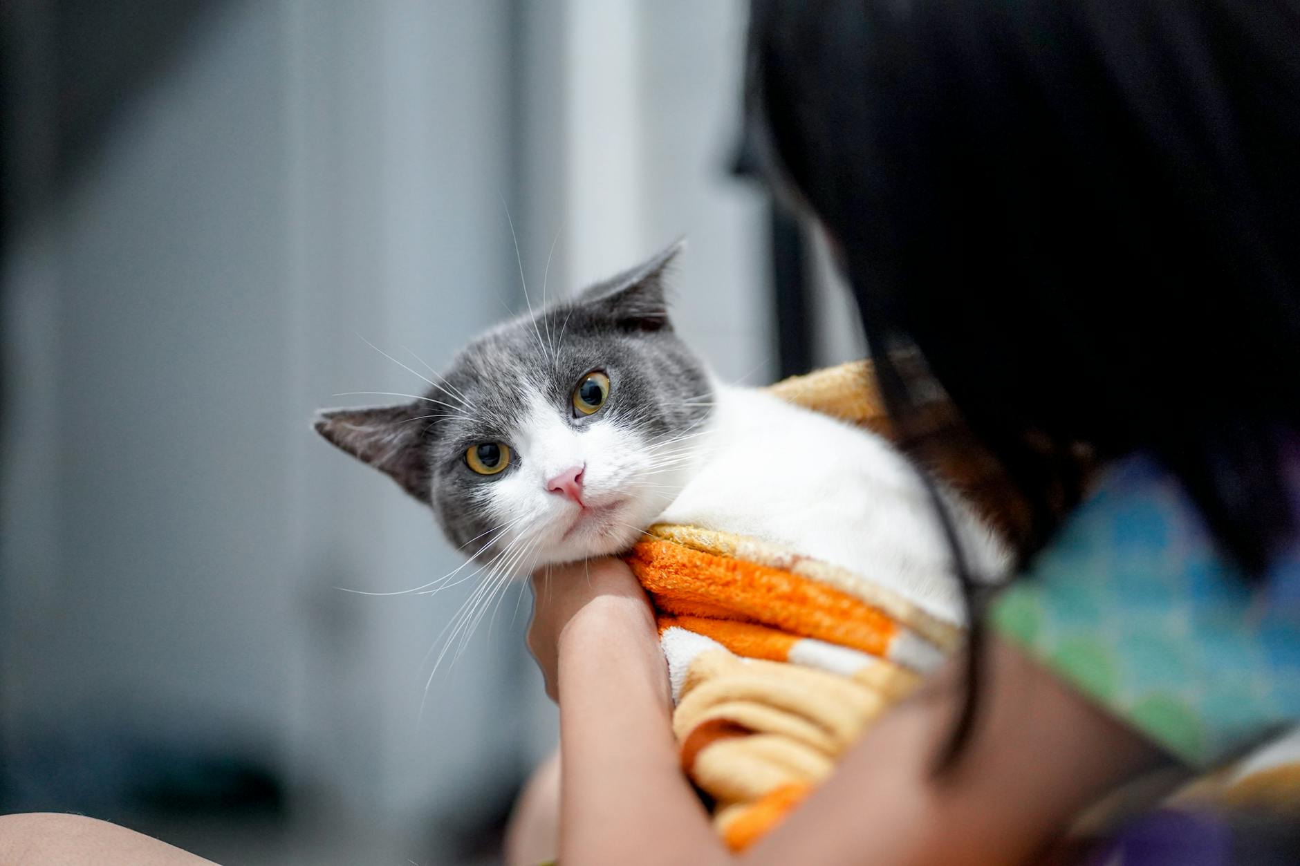 Suffocation and Entanglement Hazards