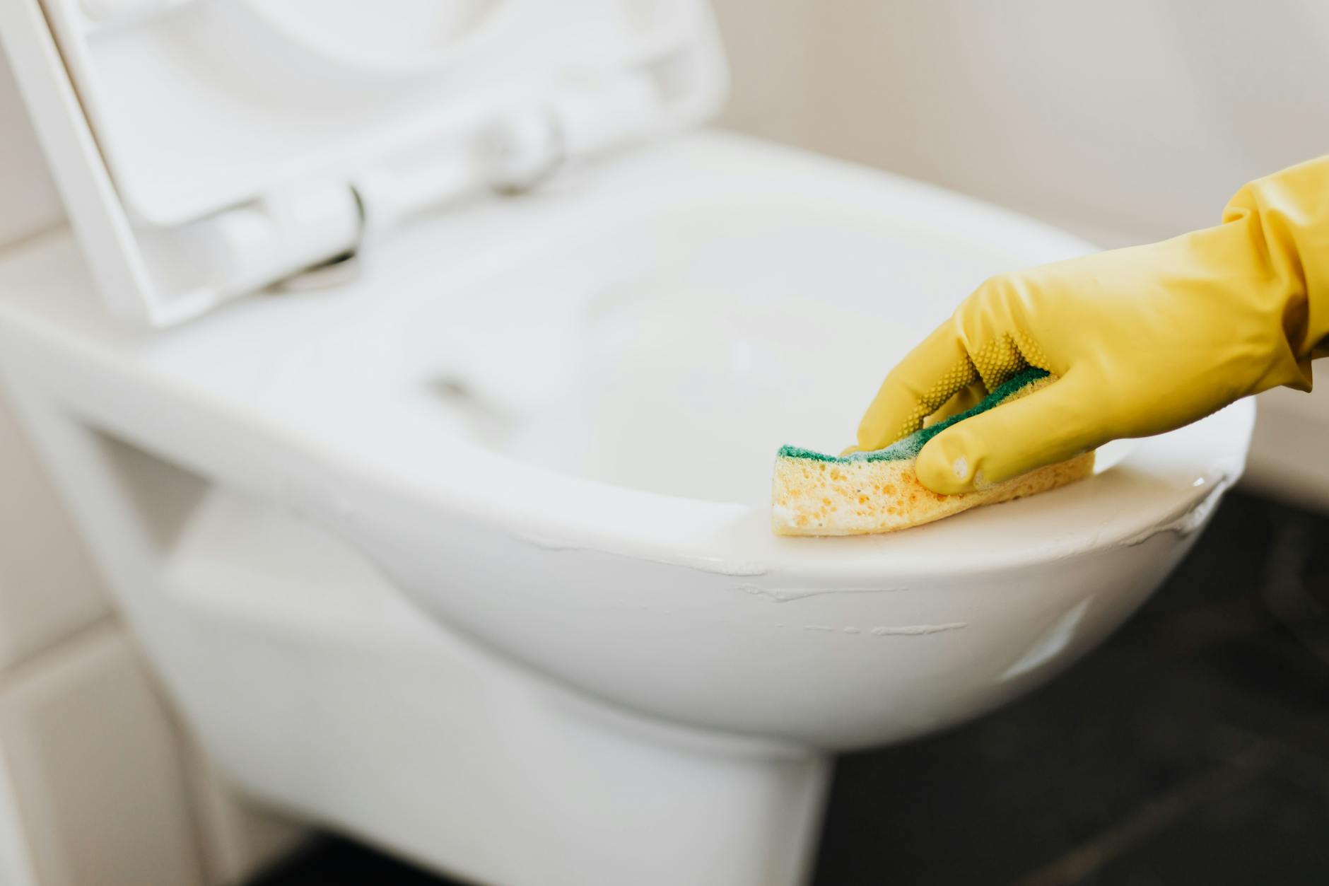 The Chemical Hazard: Toilet Cleaning Products and Your Cat's Safety