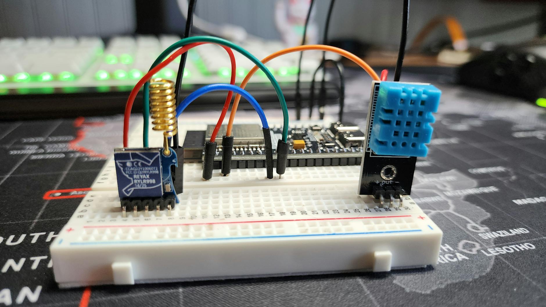 The Role of DFI Sensors Located in Your Litter-Robot's Bezel