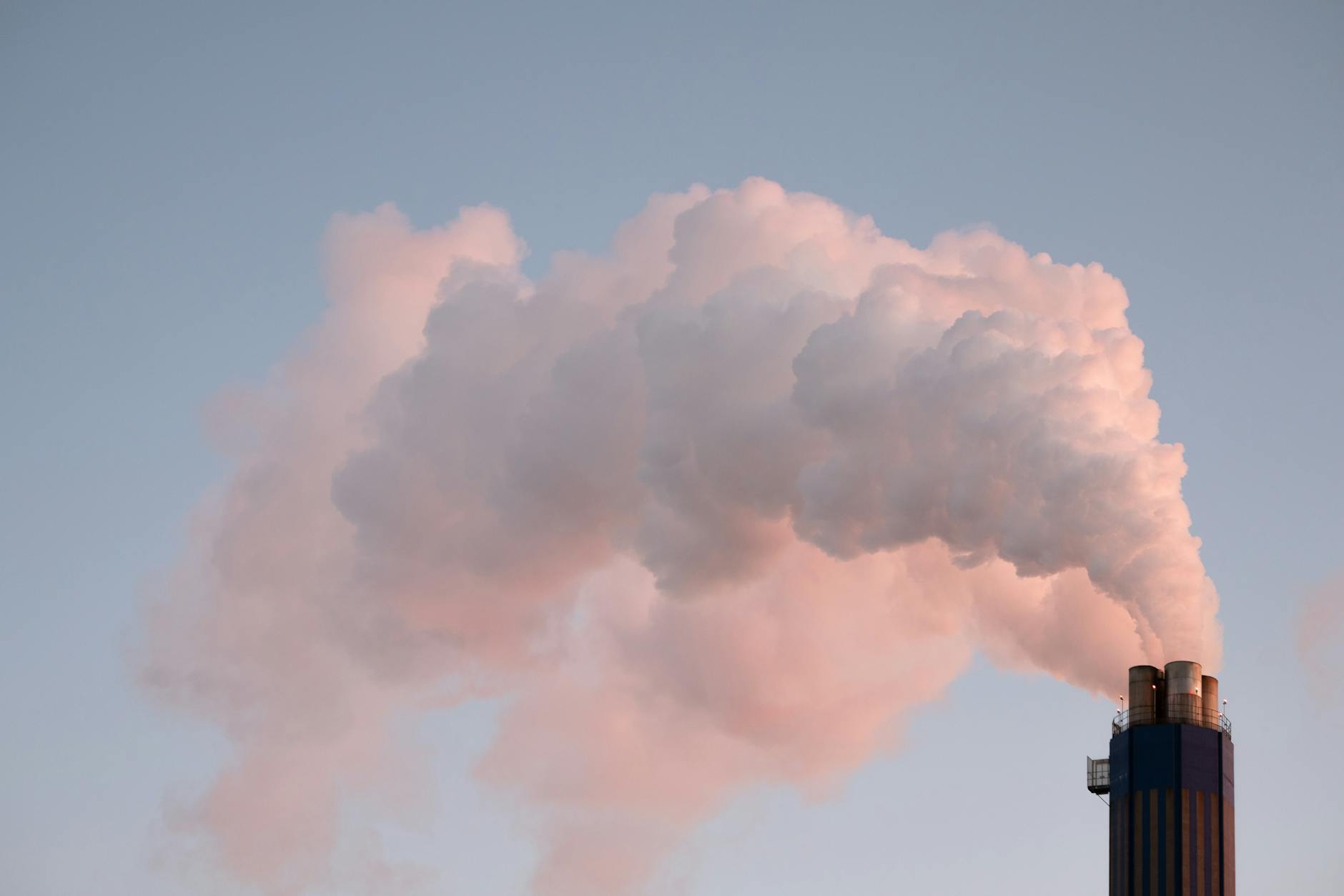TOXIC CONCERNS AND WHAT ACTUALLY POSES RISK