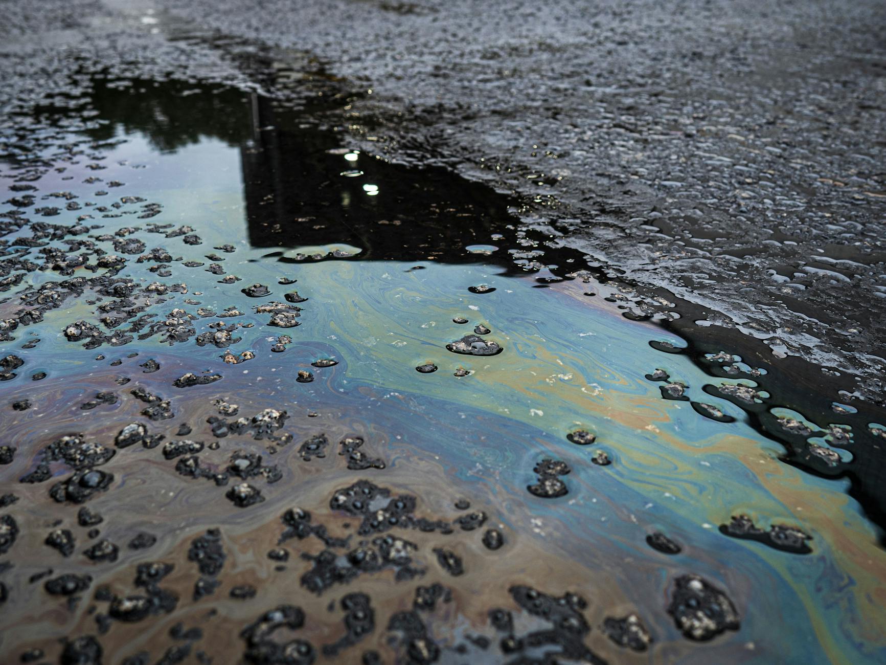 What Chemicals and Contaminants Are in Swimming Pool Water?