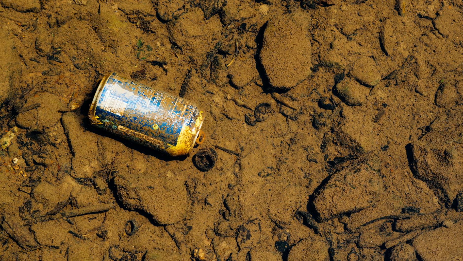 What Contaminants Are Found in Outside Puddles?