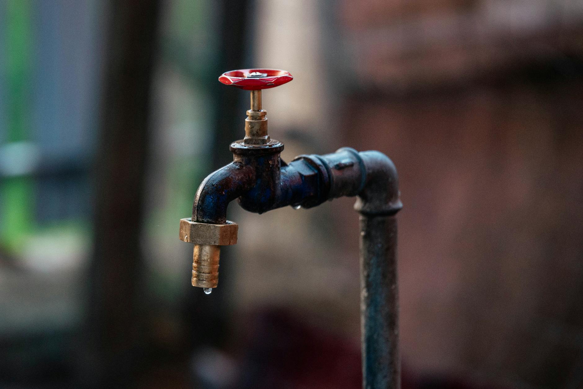 What Contaminants in Tap Water Could Affect Your Cat?