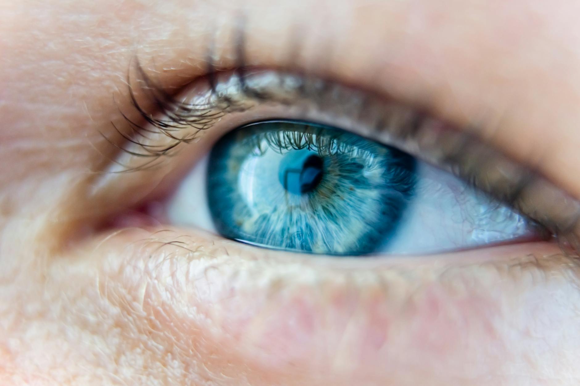 What Does the Blinking Blue Light Mean on Your Litter-Robot 4?