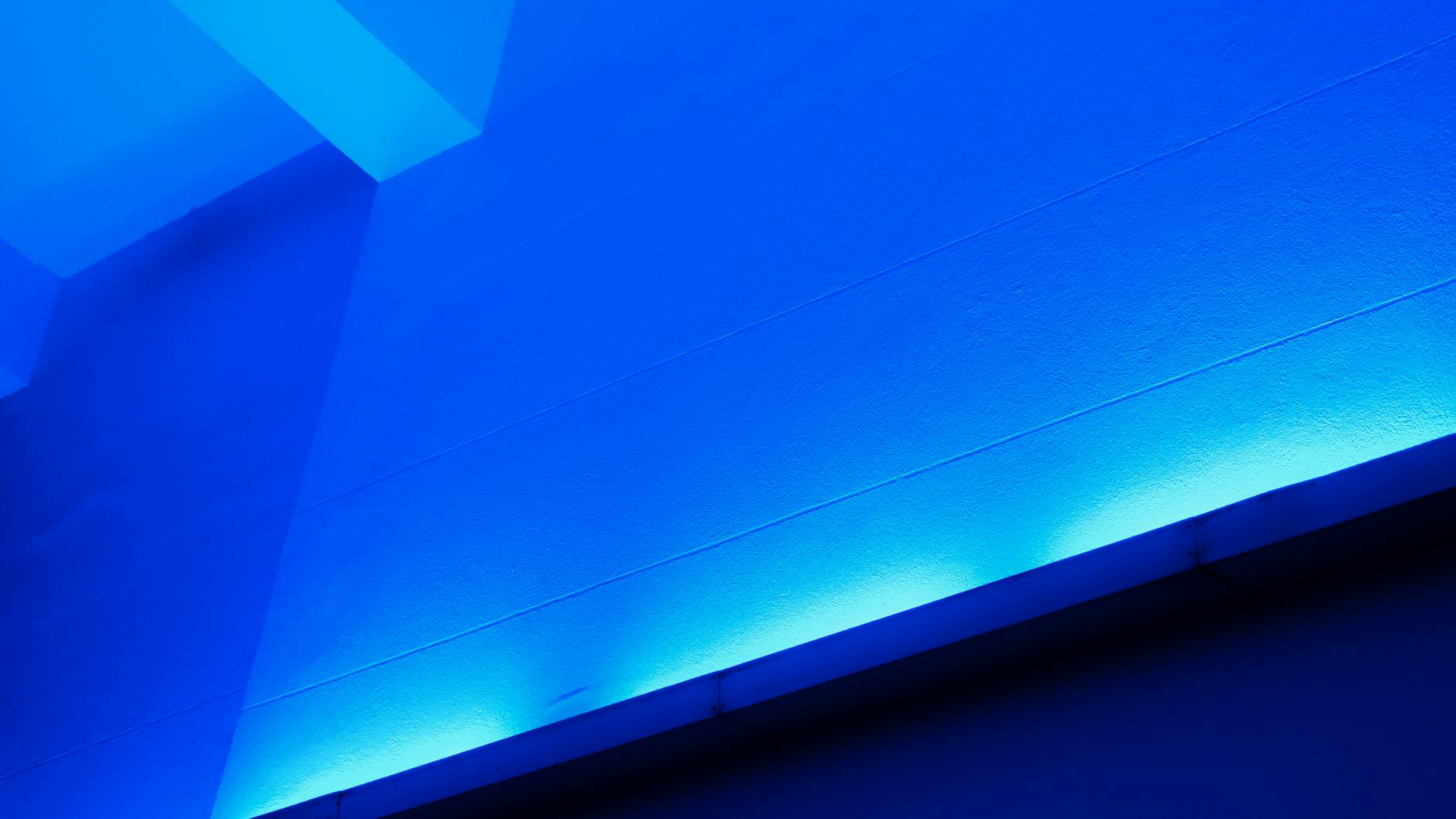 What Does the Blue Flashing Light on Your Litter-Robot 4 Mean?