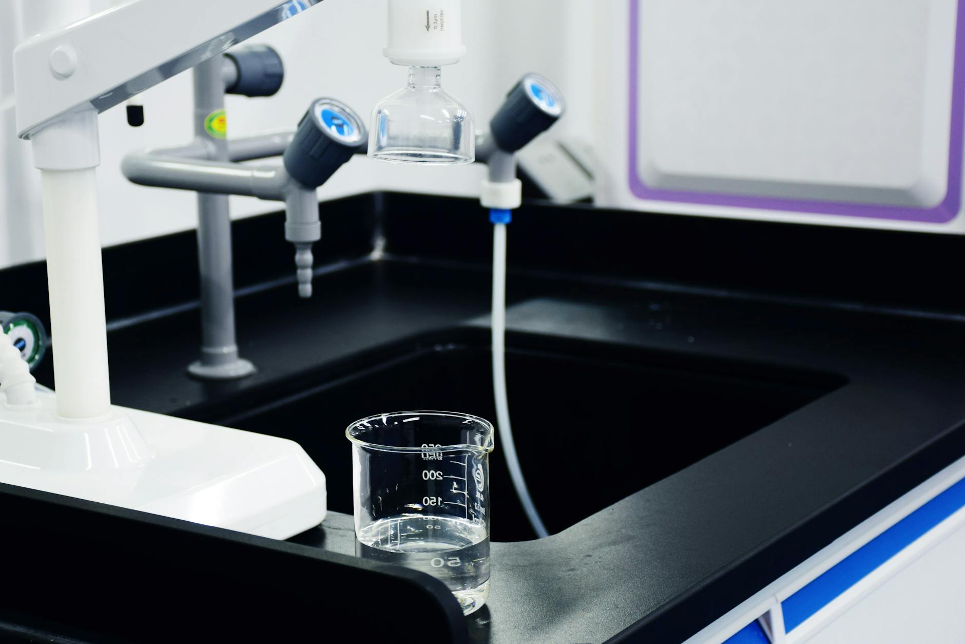 What Does Water Filtration Remove for Your Cat?
