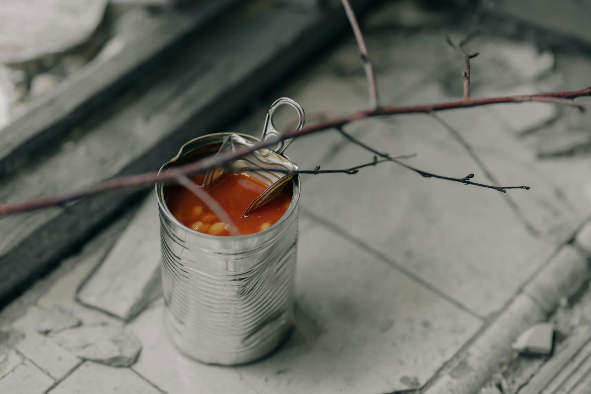 What Makes Canned Tuna Potentially Unsafe for Cats?