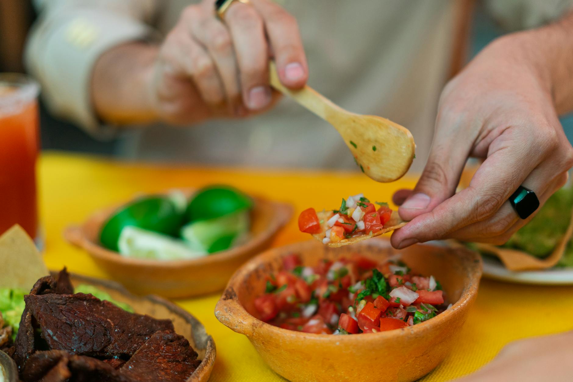 What Makes Salsa Dangerous for Cats?