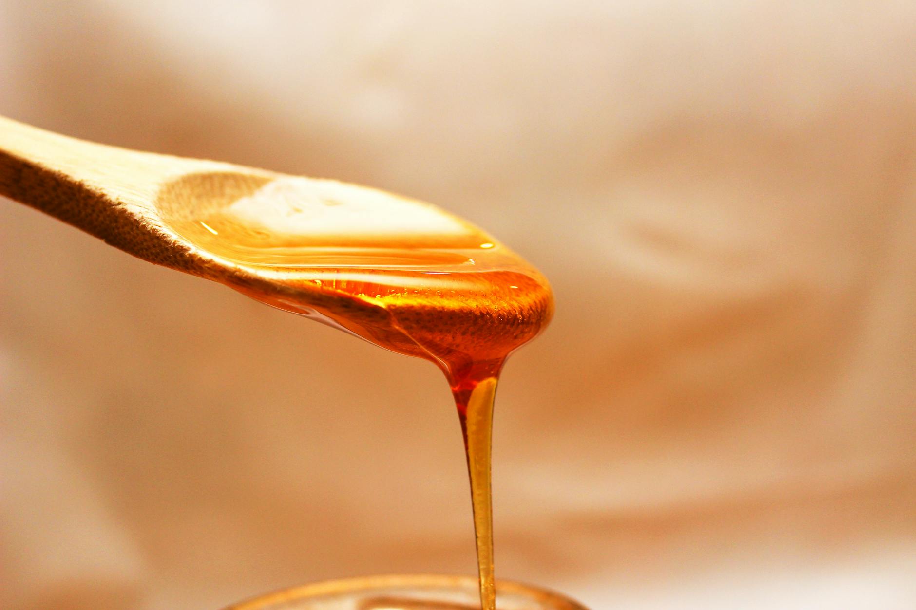 What Makes Syrup Dangerous for Cats?