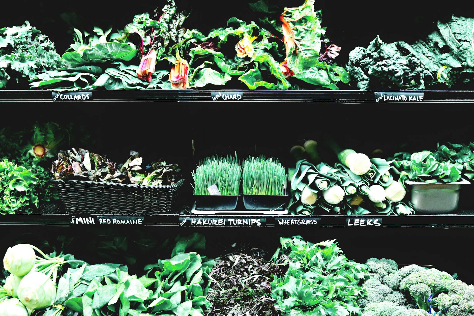 When Cats Are Tempted by Greens