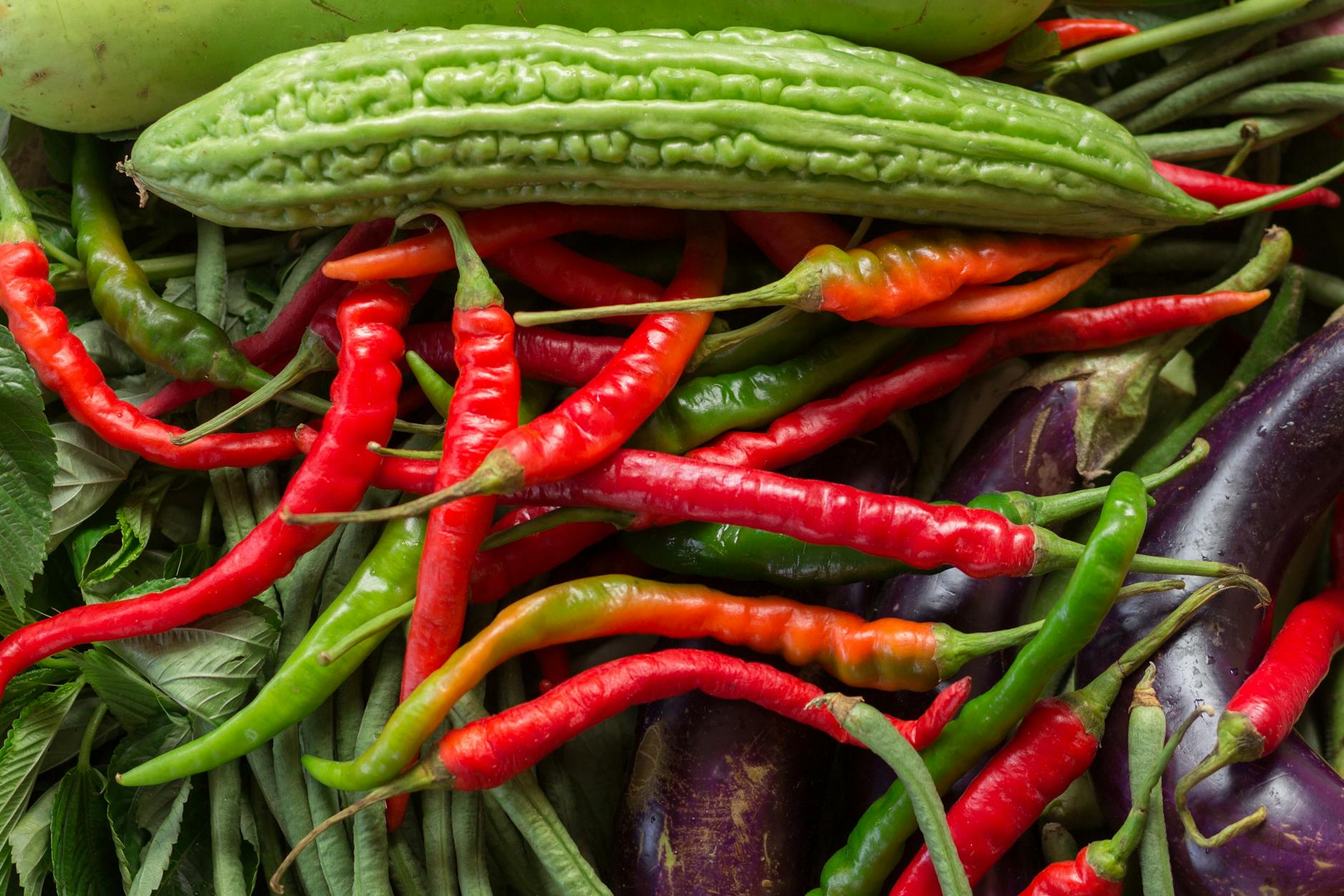 Which Raw Vegetables Are Actually Safe for Cats?