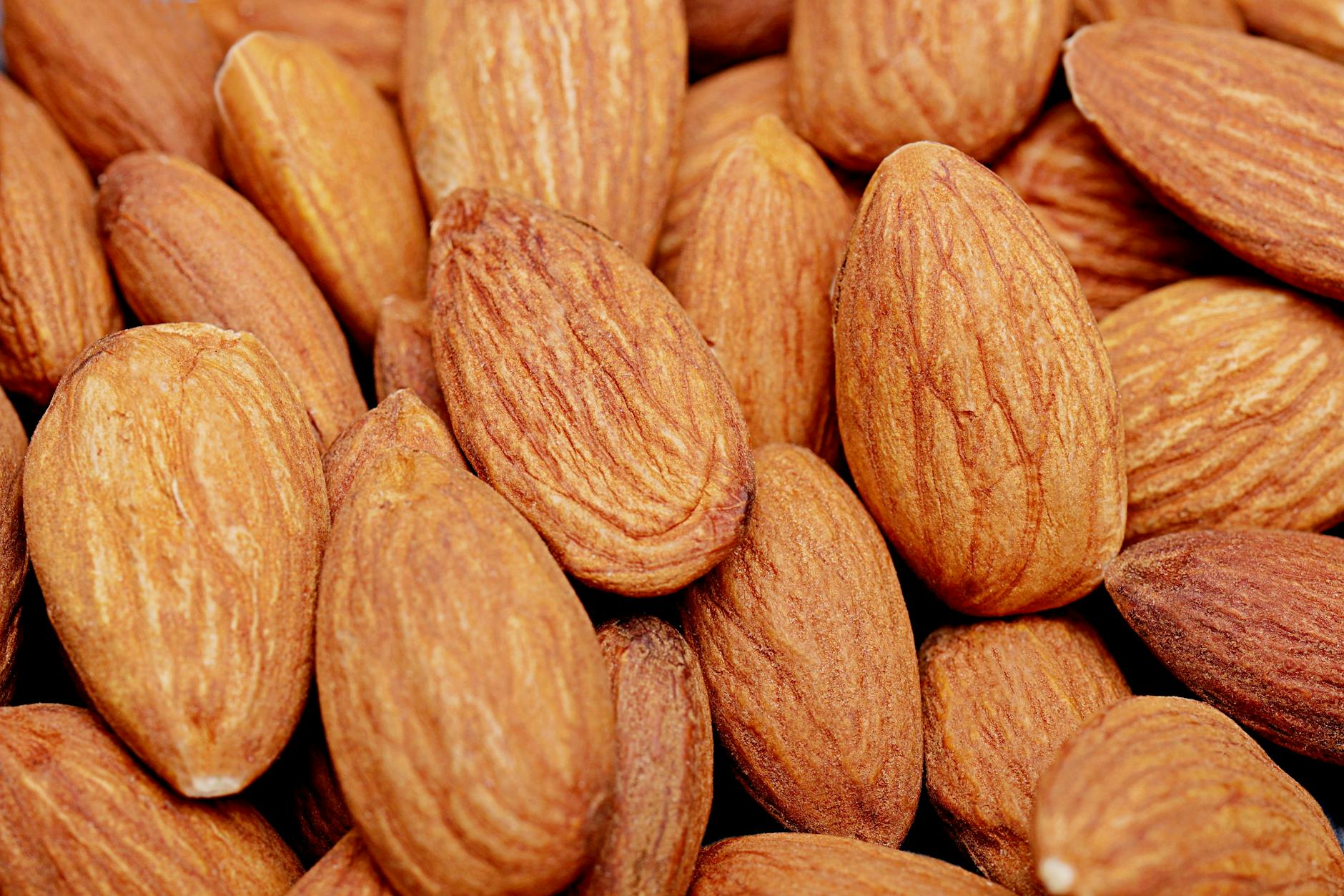 Why Almonds Are Problematic for Cats
