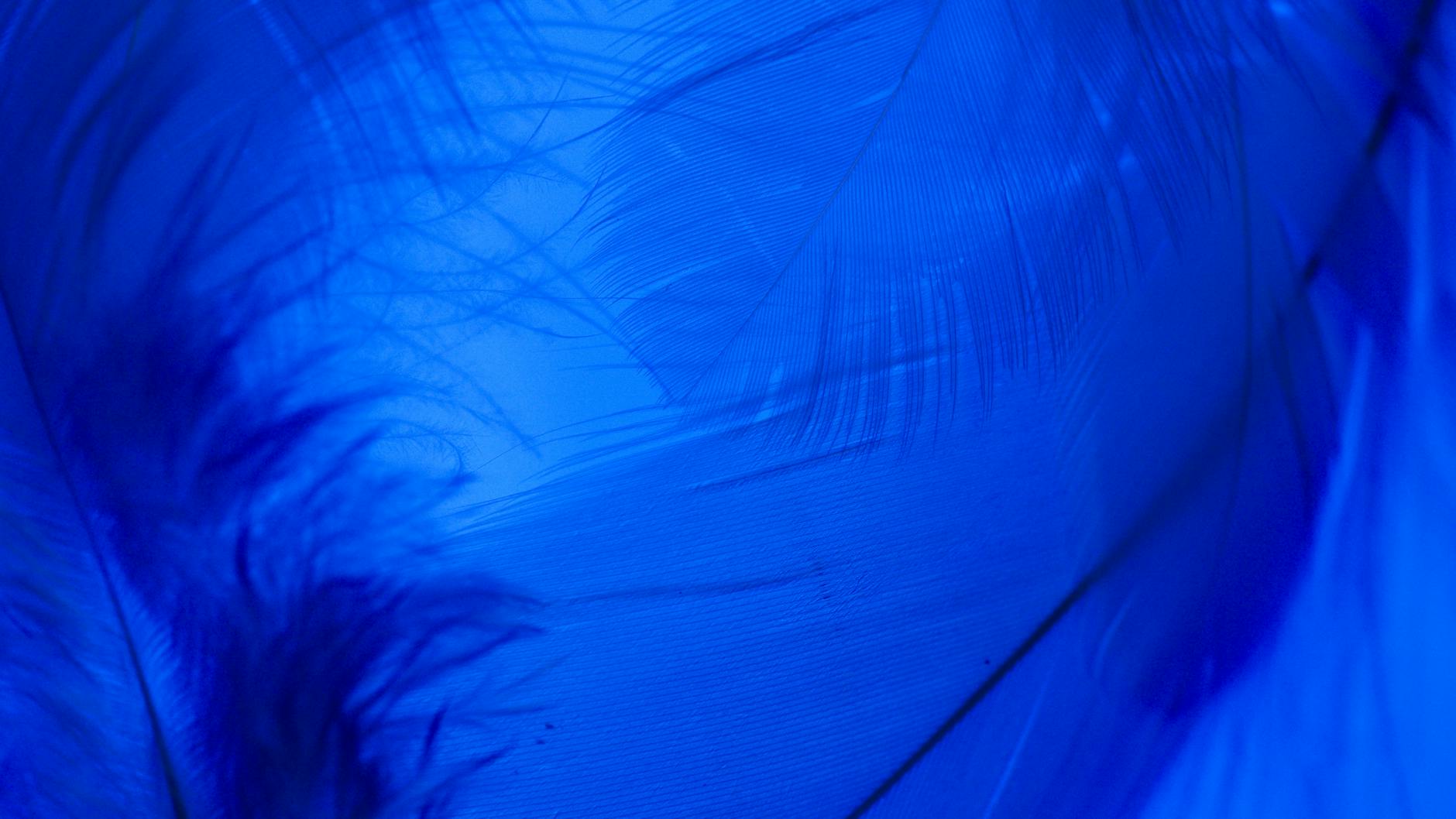 Why Does the Blue Light Appear After Replacing Litter?