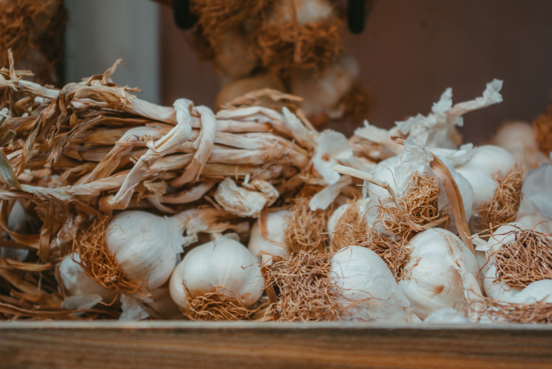 Why Is Garlic Toxic to Cats?