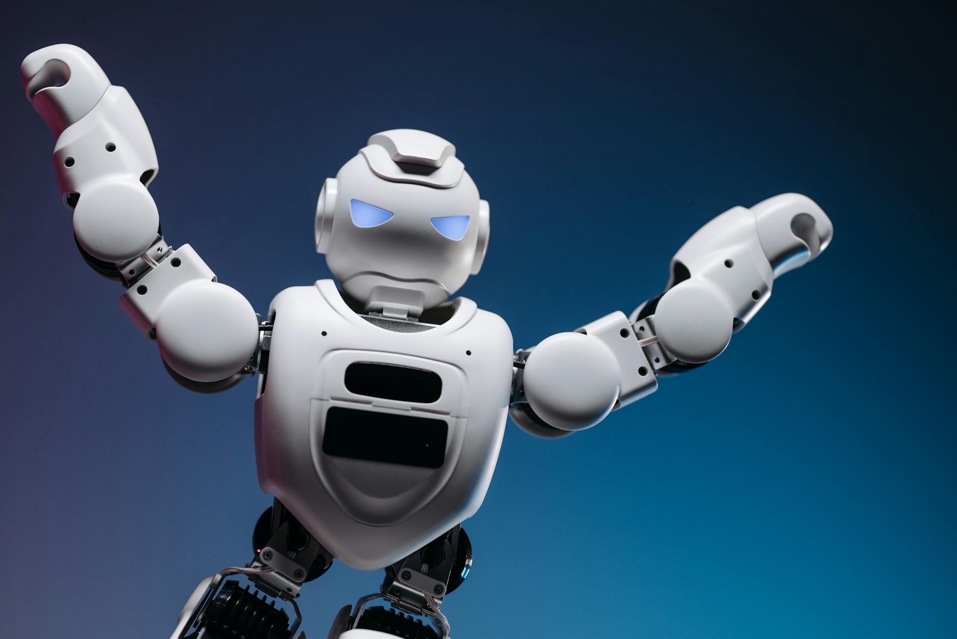 Why Is Litter-Robot 4 Flashing Blue Before Every Cycle - Featured image