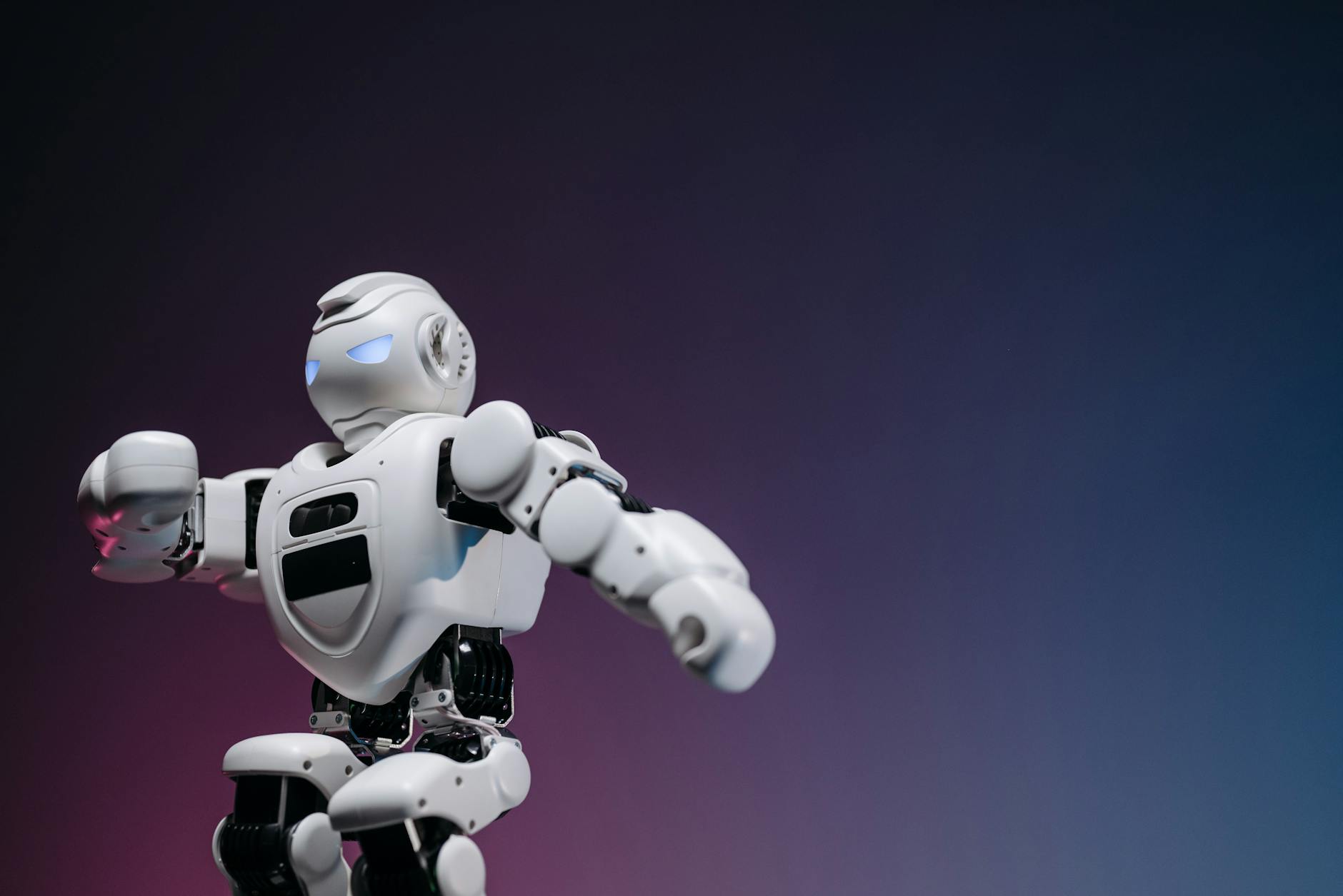 Why Is My Litter-Robot 4 Blinking Blue Overnight - Featured image