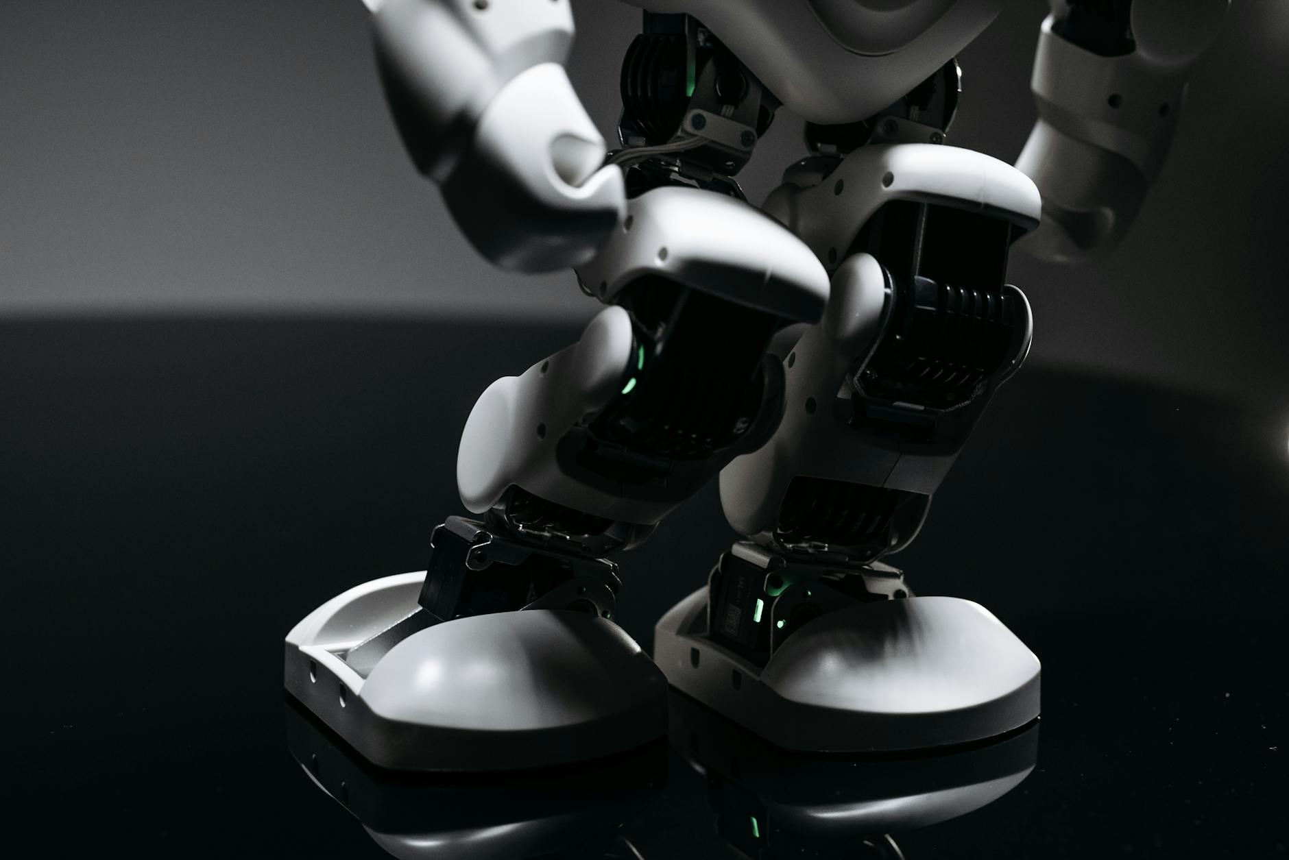 Why Is Your Litter-Robot 4 Showing a Blue Flashing Light?