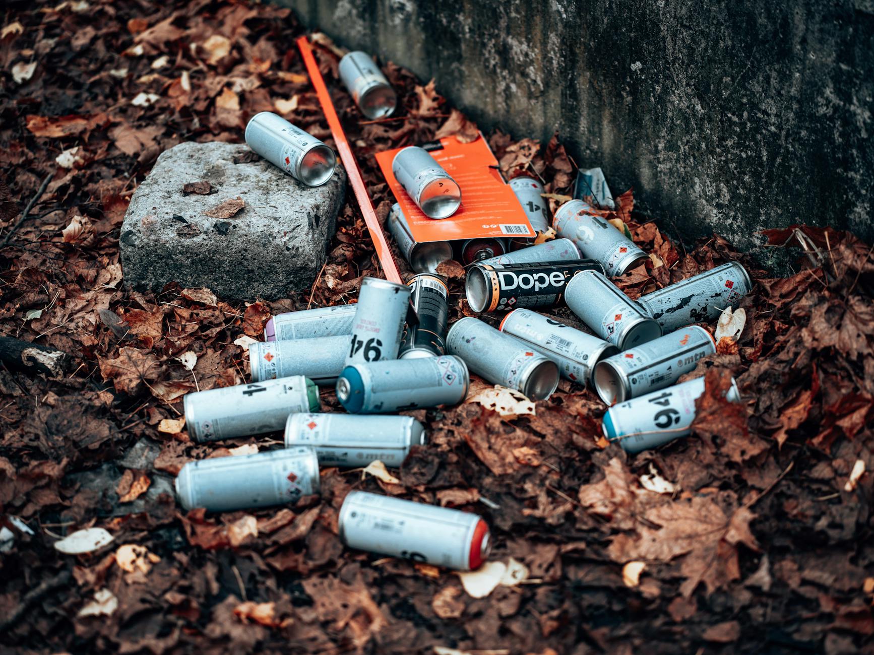 WiFi Network Requirements and Litter-Robot 4 Compatibility Issues