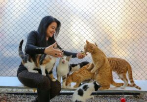 Animal Rescue Team Saves 20 Kittens Found Abandoned In Rural Drainage Area - Featured image