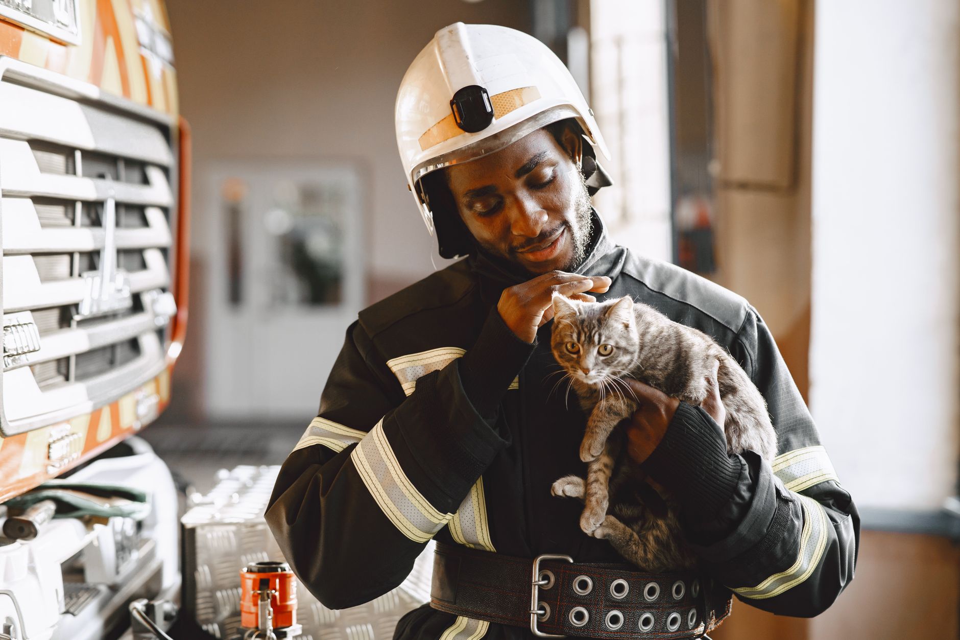 How to Safely Rescue and Transport Feral Kittens: Expert Techniques - Featured image