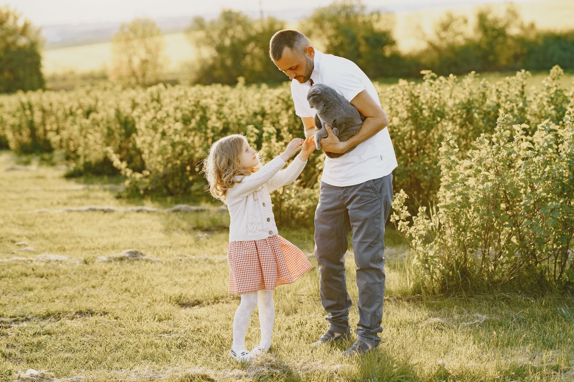 Parent raises alarm over neighborhood children hunting local pet cats - Featured image