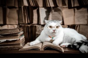 Study Shows Cat Fleas Transmit Dangerous Bacteria Threatening South Texas Residents - Featured image