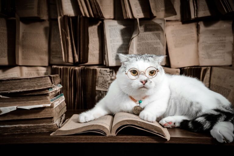 Study Shows Cat Fleas Transmit Dangerous Bacteria Threatening South Texas Residents - Featured image