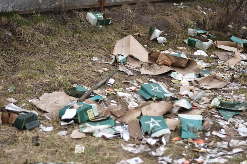Litter Box Rules: How Many, Where, and Which Litter