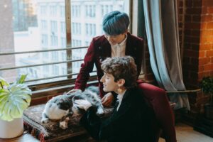 Cat Apartments FAQ for September 2026: Source-Checked Answers to Common Questions - Featured image