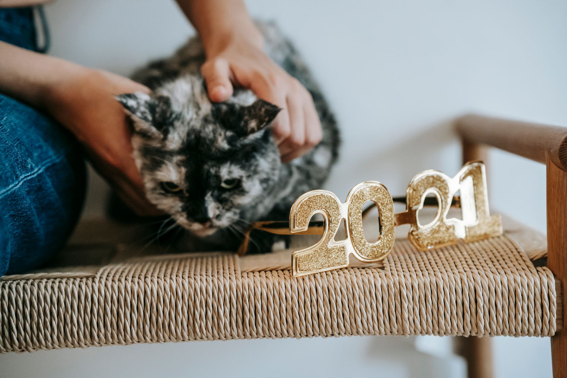 What Is New With Cat Moving in September 2026? Latest veterinary sources and Key Takeaways - Featured image