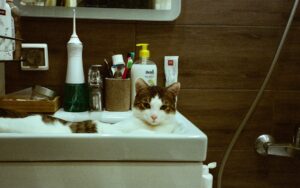 Cat lying in a bathroom sink beside toiletries, where minoxidil hair-loss products that are toxic to cats are often kept