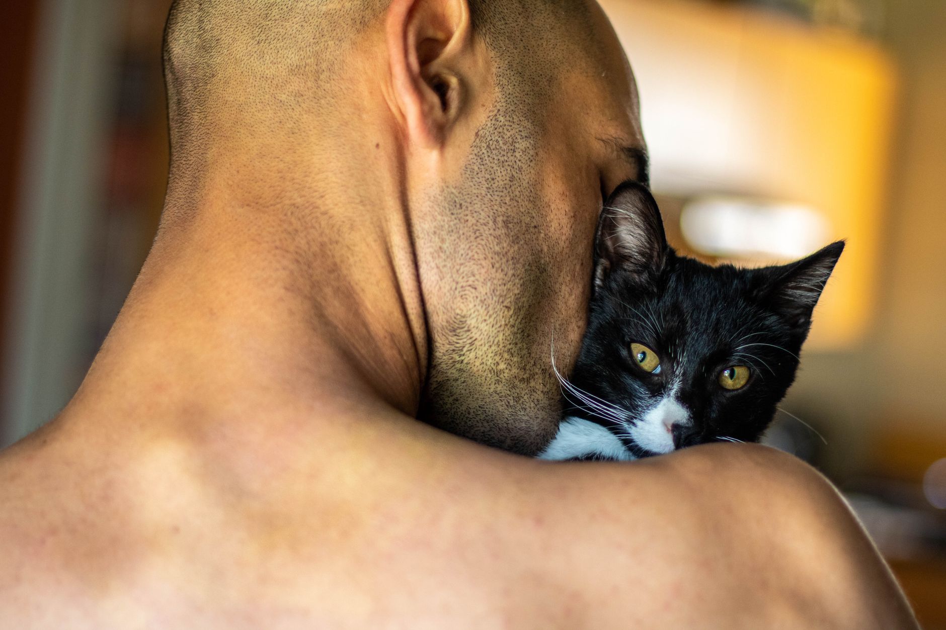 Man holding a black and white cat against his neck and shoulder, the skin-to-fur contact that carries topical medications toxic to cats
